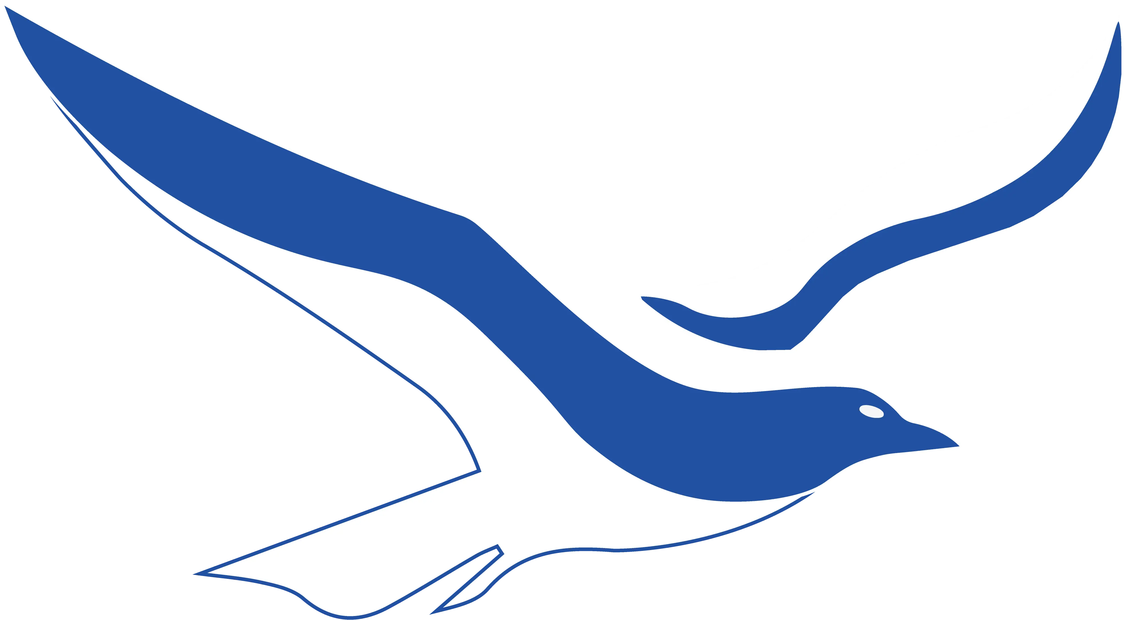 VDSYS dessin ALBATROSBlanc