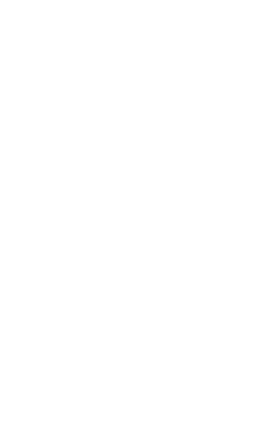 VDSYS dessin hirondelle blanche