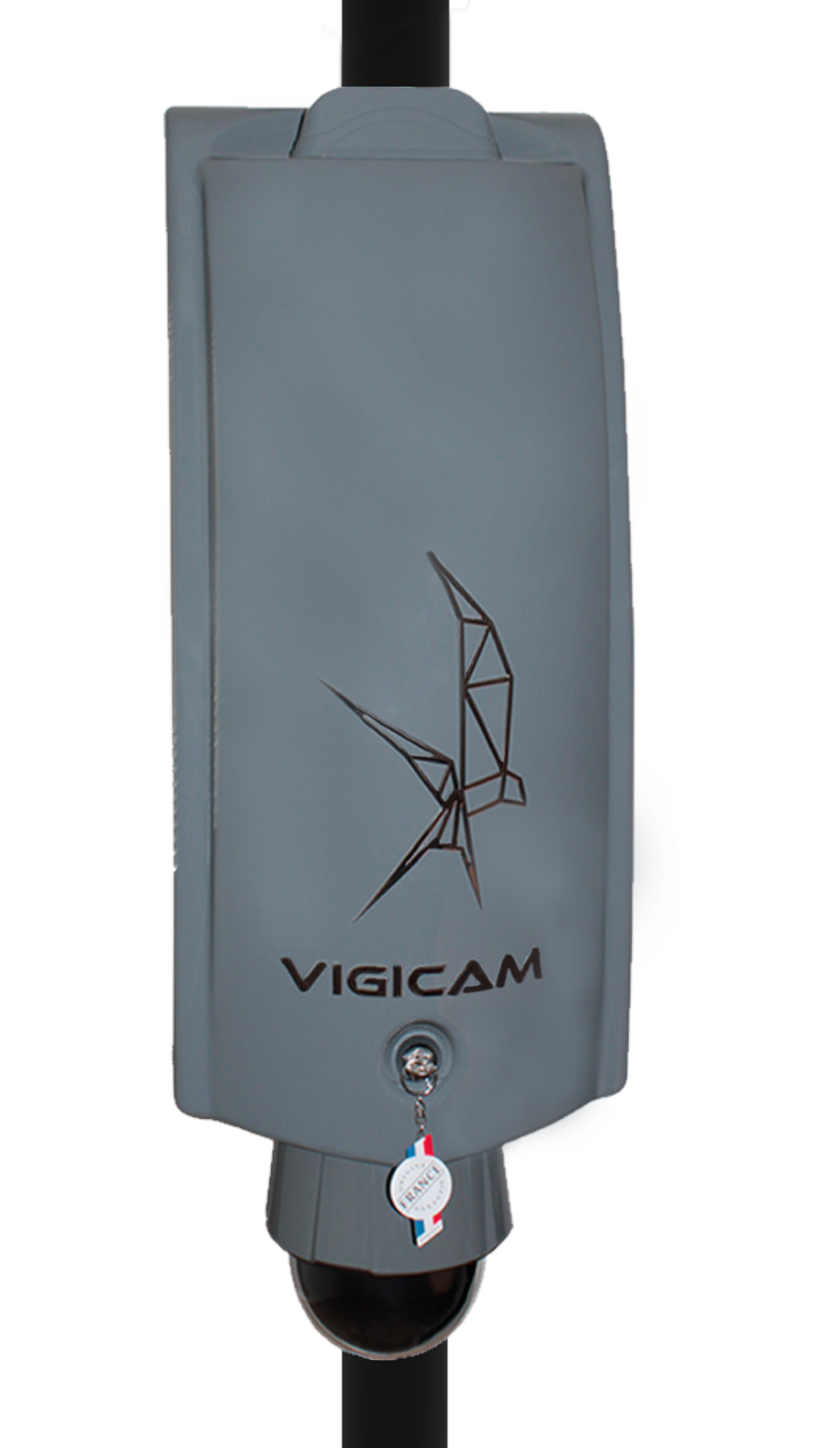 VIGICAM II© HIRONDELLE